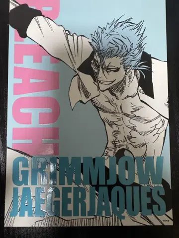 BLEACH 아트 카드 컬렉션 그림죠