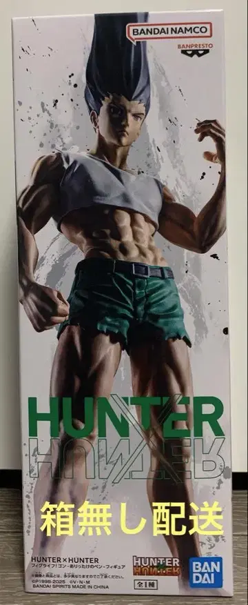 [ 상자 없음 배송 ] HUNTER x HUNTER 곤 피그라이프