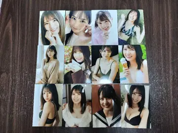 코사카 나오 L 사이즈 12장