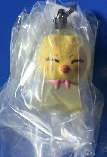 skzoo 메지루시 액세서리 보가리