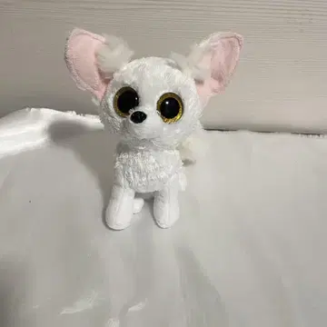 Ty Beanie Boos 비니부즈 피닉스 Phoenix