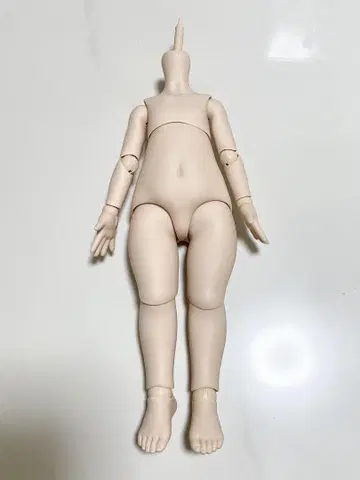 치미코 DD 바디