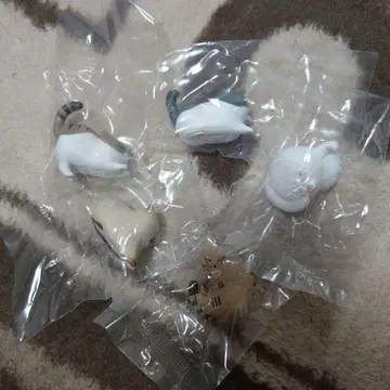 화난 고양이 차아앙 3 전 5종 가챠 피규어 고양이 마스코트