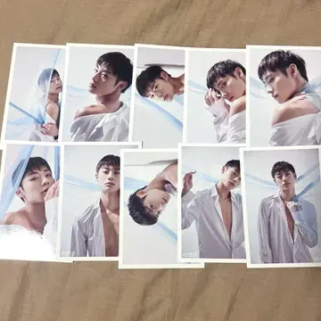 초특급 알로하 브로마이드
