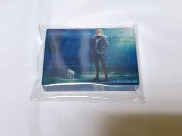 프로젝트 세카이 프로세카 아키토 시노노메 노블 아트 미라이