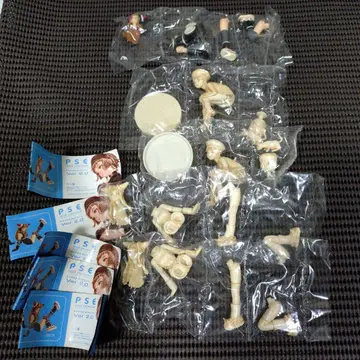 PSE 솔리드 컬렉션 무라타 렌지