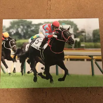 경마 콘트레일 일본 더비 벽 데코 패널