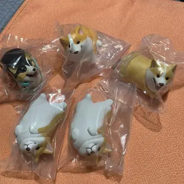 가챠가챠 코기산포 5마리 세트