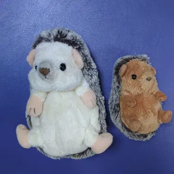 고슴도치 봉제 인형 세트