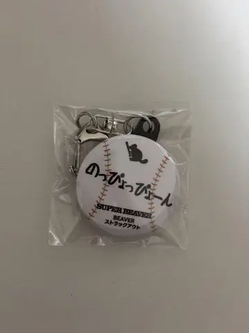SUPER BEAVER 친구회 한정 복권 당첨 상품
