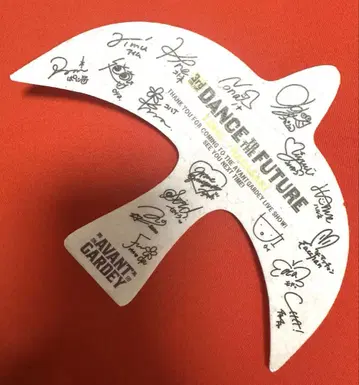 아방가르드 카모메 스티롤