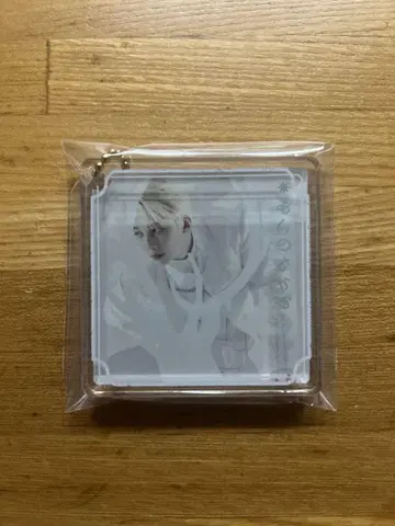 SEVENTEEN Power Of Love 아크릴 키링 정한