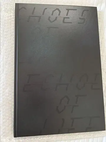 하뉴 유즈루 Echoes of Life 애프터 팜플렛