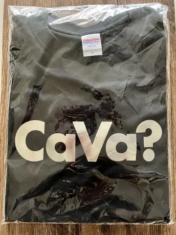 비블랑카 Vicke BlankaT 셔츠 M 미사용 새상품 CaVa