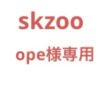 skzoo 반찬 승민 한 메지루시 액세서리 ope 님