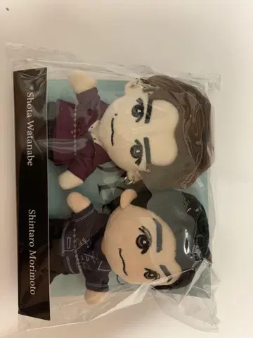 Shota Watanabe & Shintaro Morimoto 봉제 인형