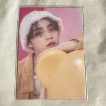 seventeen scoups hotel dream