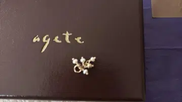 agate 아가트 담수 펄 참 귀걸이