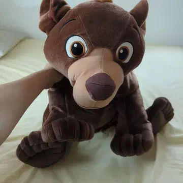 레어! 코다! 봉제 인형 40091