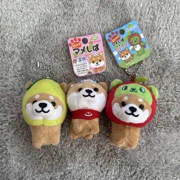 여행하는 콩 3개 세트