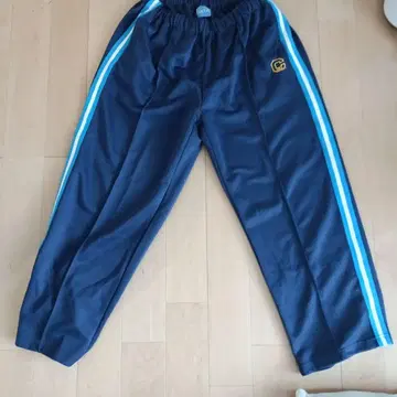 차오패닉 티피 저리