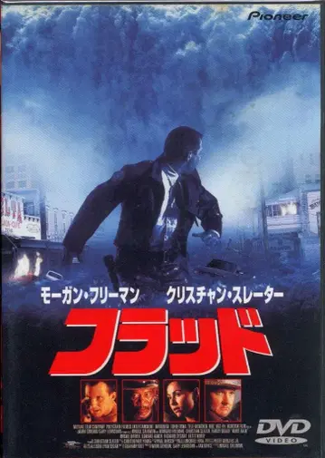 서양화 DVD 플러드