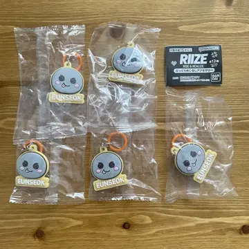 RIIZE 은석 메지루시 액세서리