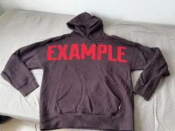 EXAMPLE 예제 후드티