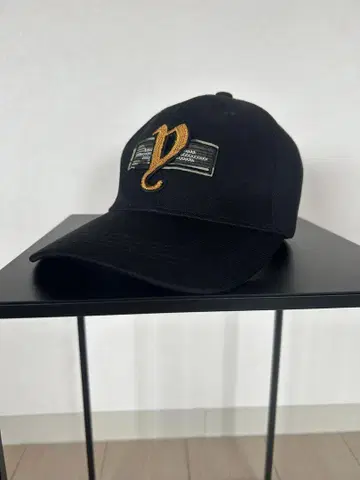 프라이드 비즈 캡