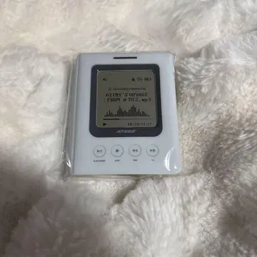 ATEEZ 에이티즈 atiny's voyage 포토 카드 바인더