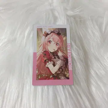 프로세카 에피카 금박 모모이 아이리