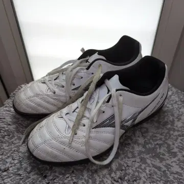 Mizuno 축구화 JP 22.5