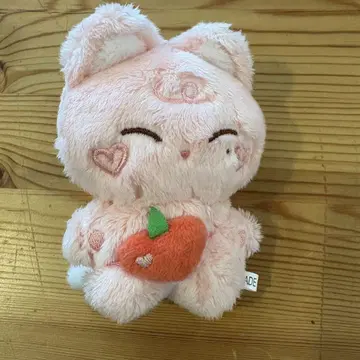 ENHYPEN 선우 마스터 봉제 인형