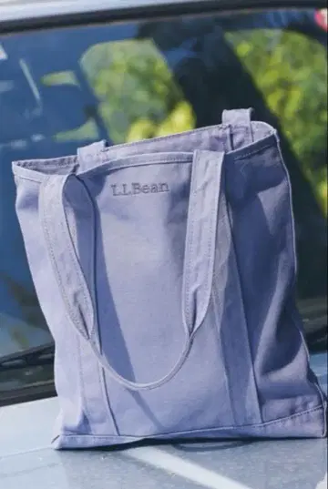 새상품급 L.L.Bean 엘 엘 빈 레코드 토트백