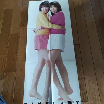 핑크 레이디 부록 특대형 포스터!
