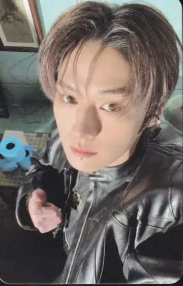 StrayKids 5-STAR LeeKnow 트레이딩 카드 B