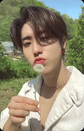 StrayKids MAXIDENT Han 트레이딩 카드 핑크