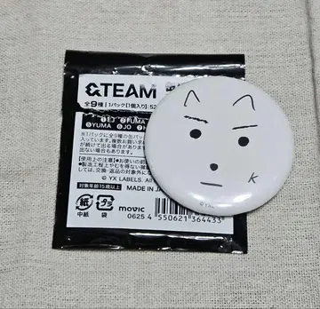 &TEAM 애니메이트 캔뱃지 K