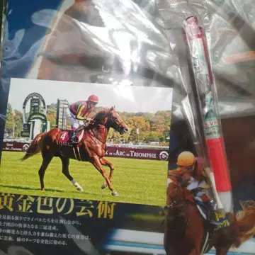 오르페브르 현역 사진&볼펜&클리어 파일 세트