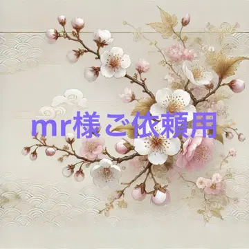 mr님 의뢰용