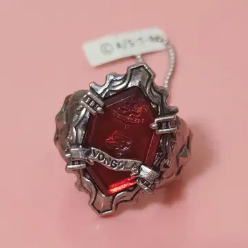 가정교사 히트맨 REBORN! 뉴 봉고레 링 폭풍 고쿠데라 하야토
