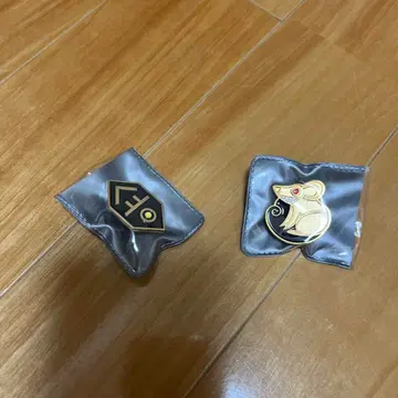 library of ruina 핀 배지