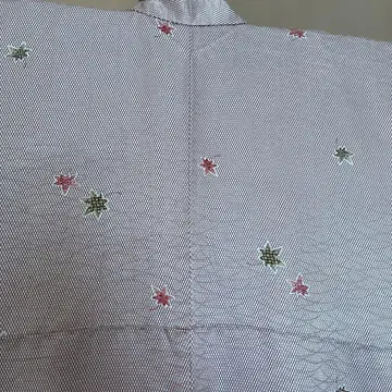 코몬 단풍