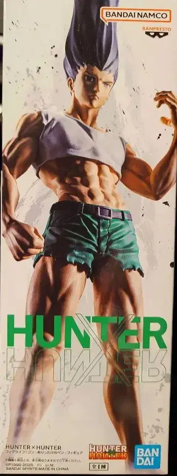 헌터 x 헌터 곤 프리크스 피규어