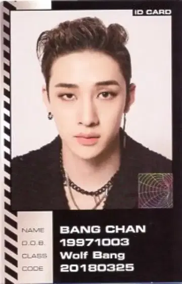 StrayKids ODDINARY 방찬 ID 카드