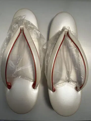 이토와 타다스 아이보리 조리 23cm 높이 4.5