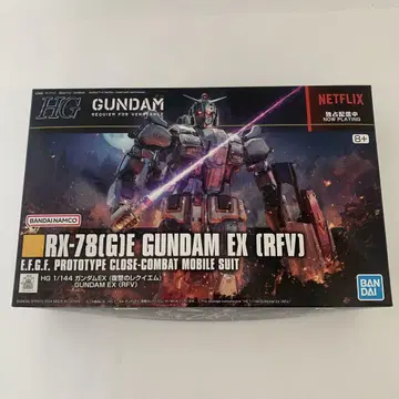 HG 1/144 건담 EX (복수의 레퀴엠)
