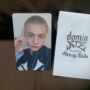 StrayKids dominATE 굿즈 구매 혜택 트레이딩 카드 현진