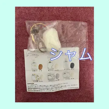 우리 아이의 털뭉치 샴 가챠