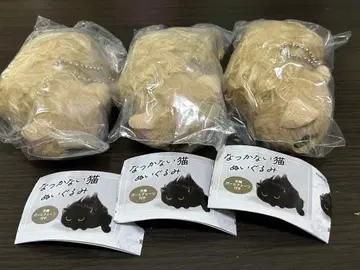 친근한 고양이 봉제 인형 공원 고양이 가챠